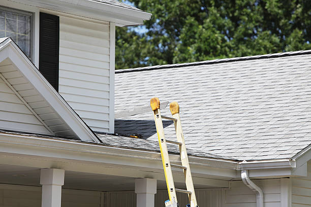 Best Siding Maintenance  in Walthourville, GA