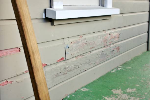 Walthourville, GA Siding Installation & Repair Company