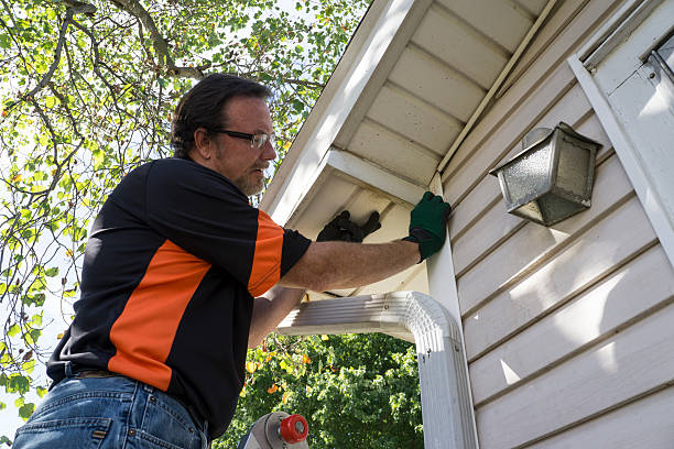 Best Composite Siding  in Walthourville, GA